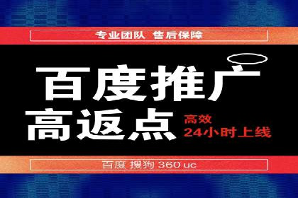 百度平台推广策略及成功案例解析